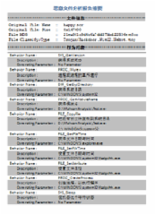 恶意文件分析系统报告摘要